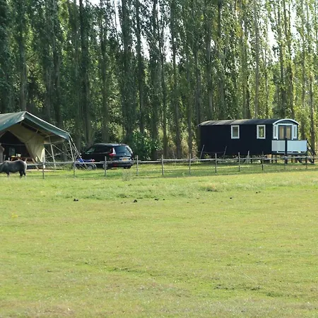 Campsite Pipowagen Jasmijn Bij Pipowagen En Kampeerhoeve S Gravenhof *