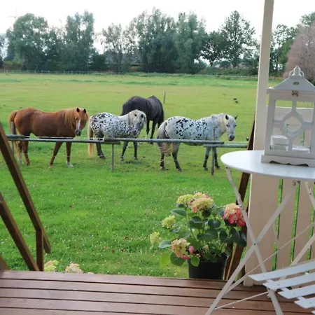 Campsite Pipowagen Jasmijn Bij Pipowagen En Kampeerhoeve S Gravenhof Netterden
