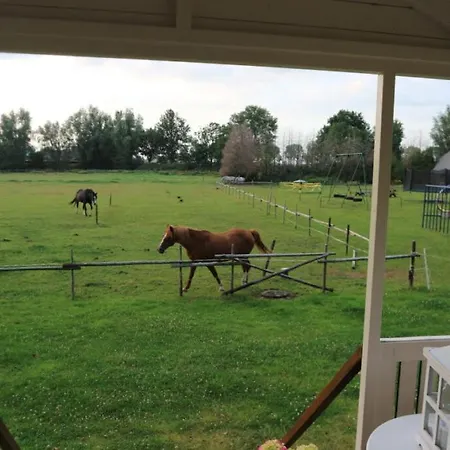 Pipowagen Jasmijn Bij Pipowagen En Kampeerhoeve S Gravenhof