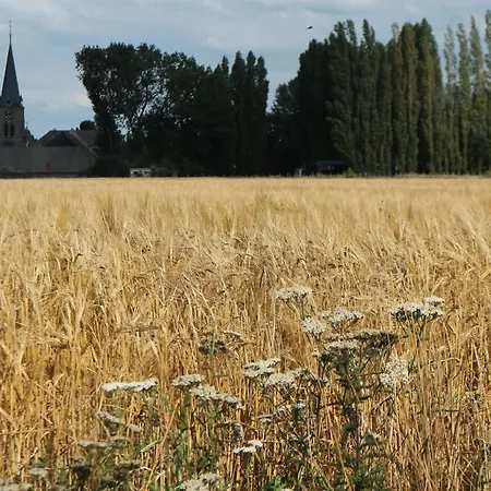 Pipowagen Jasmijn Bij Pipowagen En Kampeerhoeve S Gravenhof Netterden
