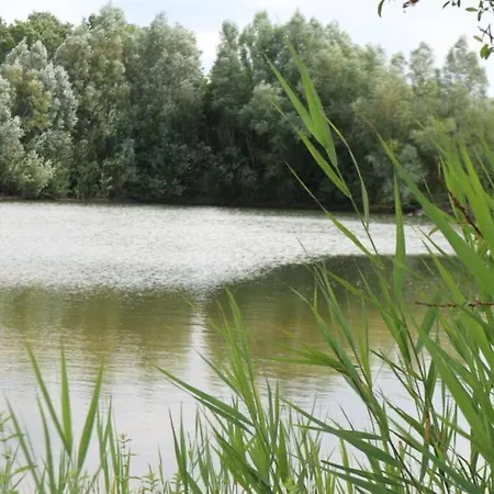 Pipowagen Jasmijn Bij Pipowagen En Kampeerhoeve S Gravenhof * Netterden